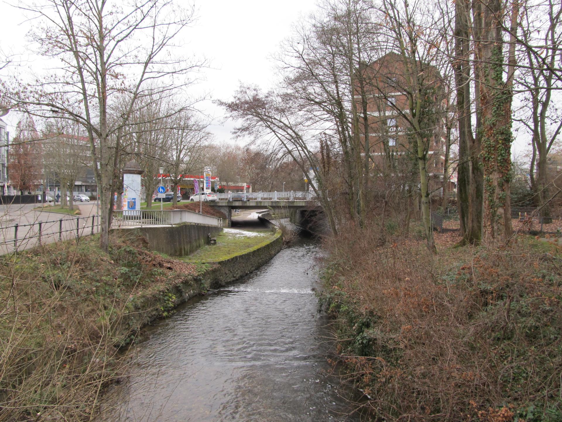 Bild von Wildpark Hofheim am Taunus