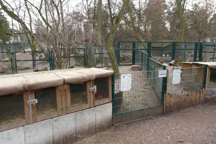 Bild von Wildpark Mainz-Gonsenheim