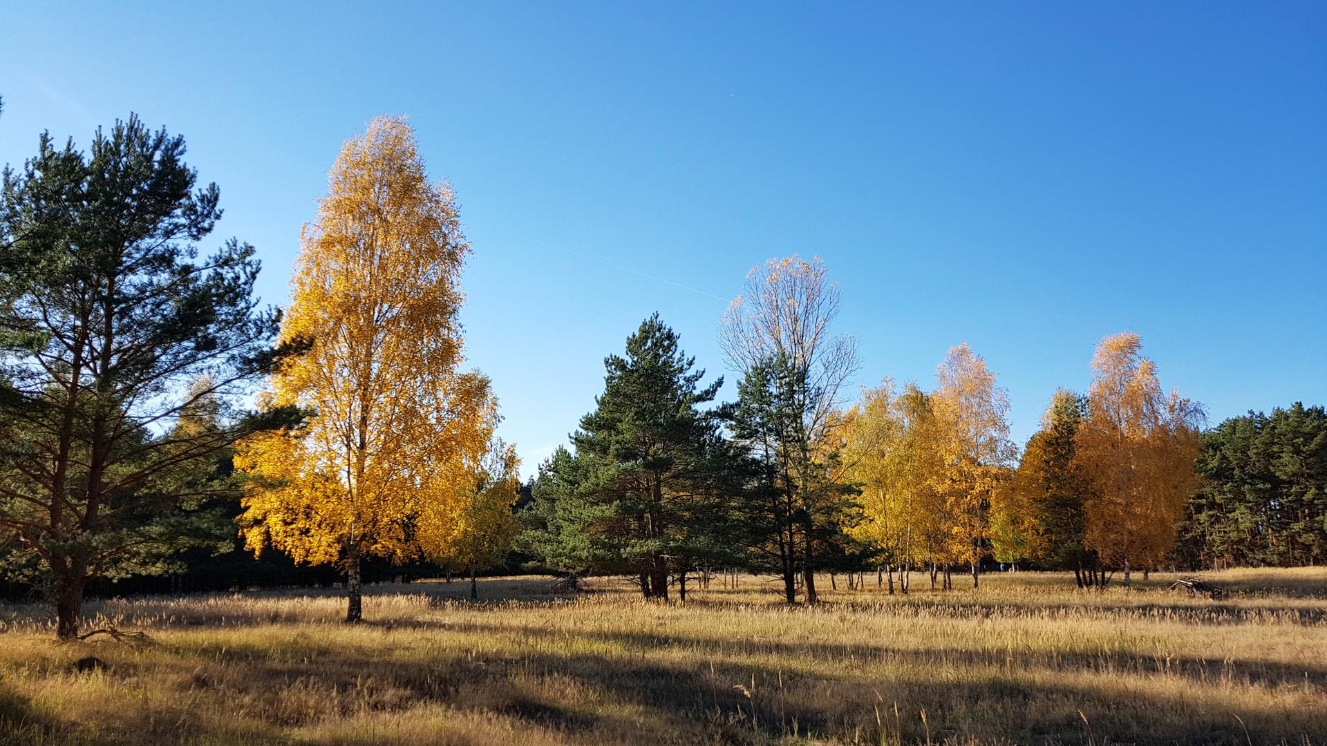 Bild von Wildgehege Glauer Tal