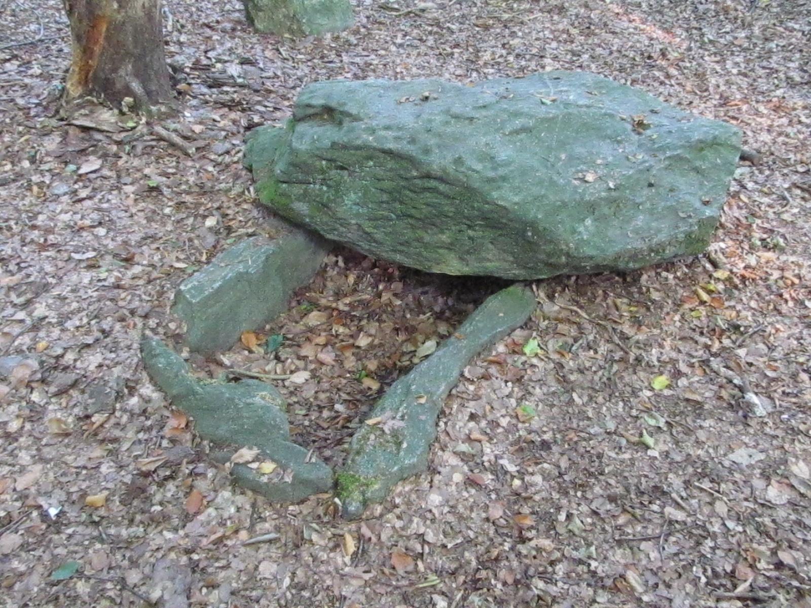 Bild von Wildgatter am Stadtwald Uelzen