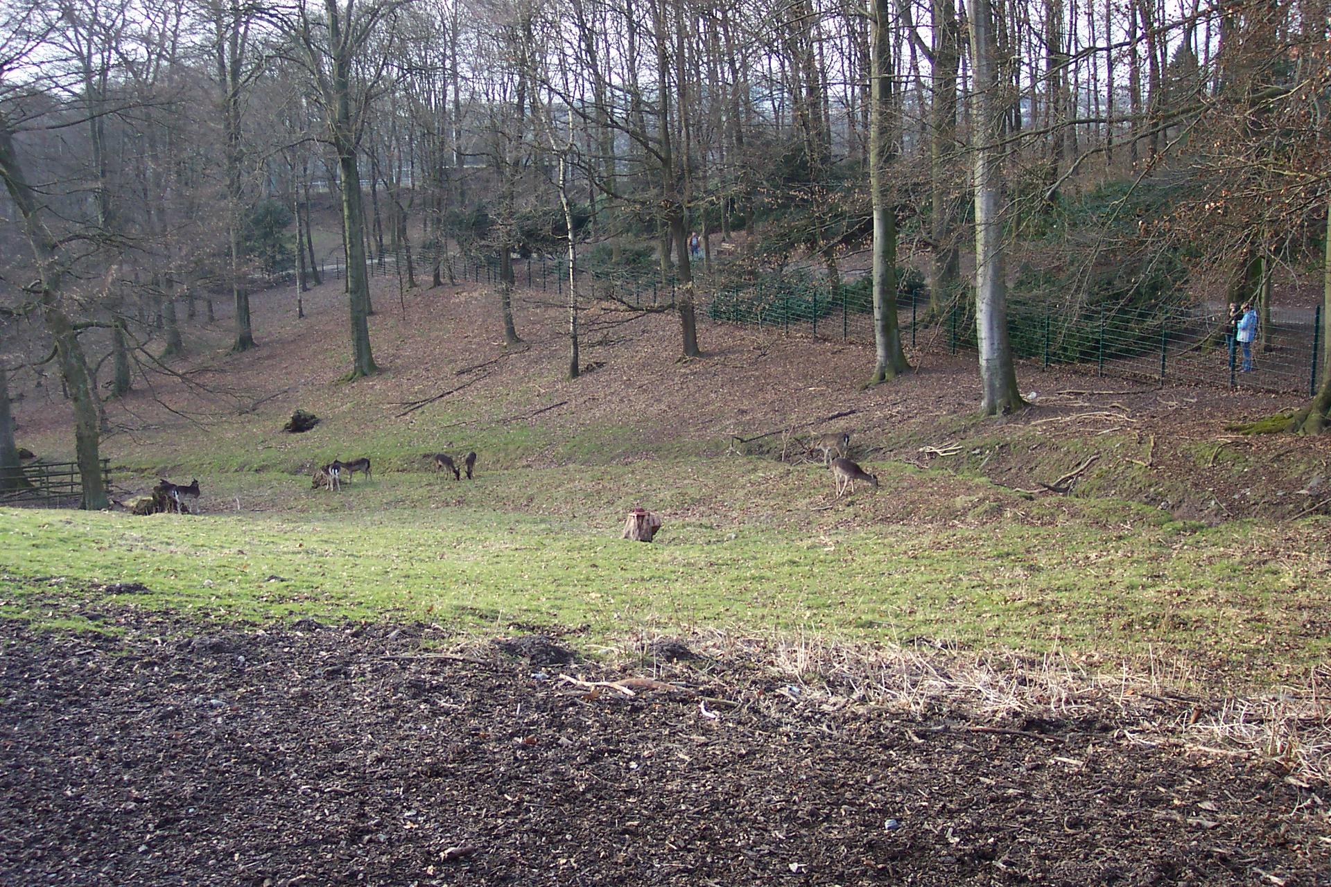 Bild von Wildgehege Nordpark Wuppertal