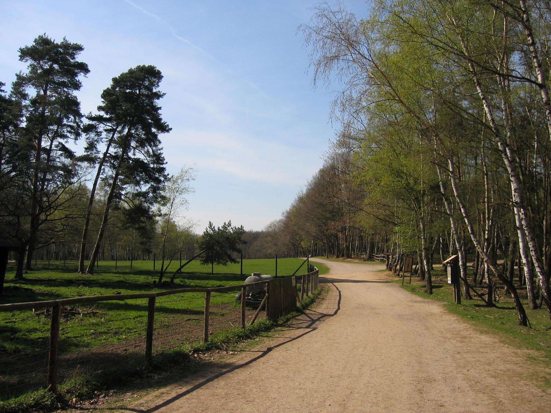 Bild von Hochwildpark Rheinland