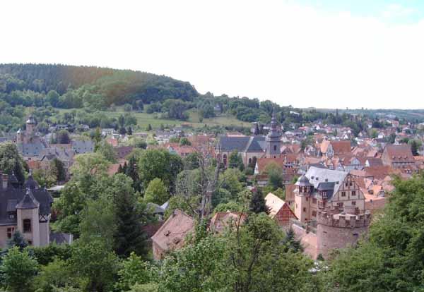 Bild von Wildpark Büdingen