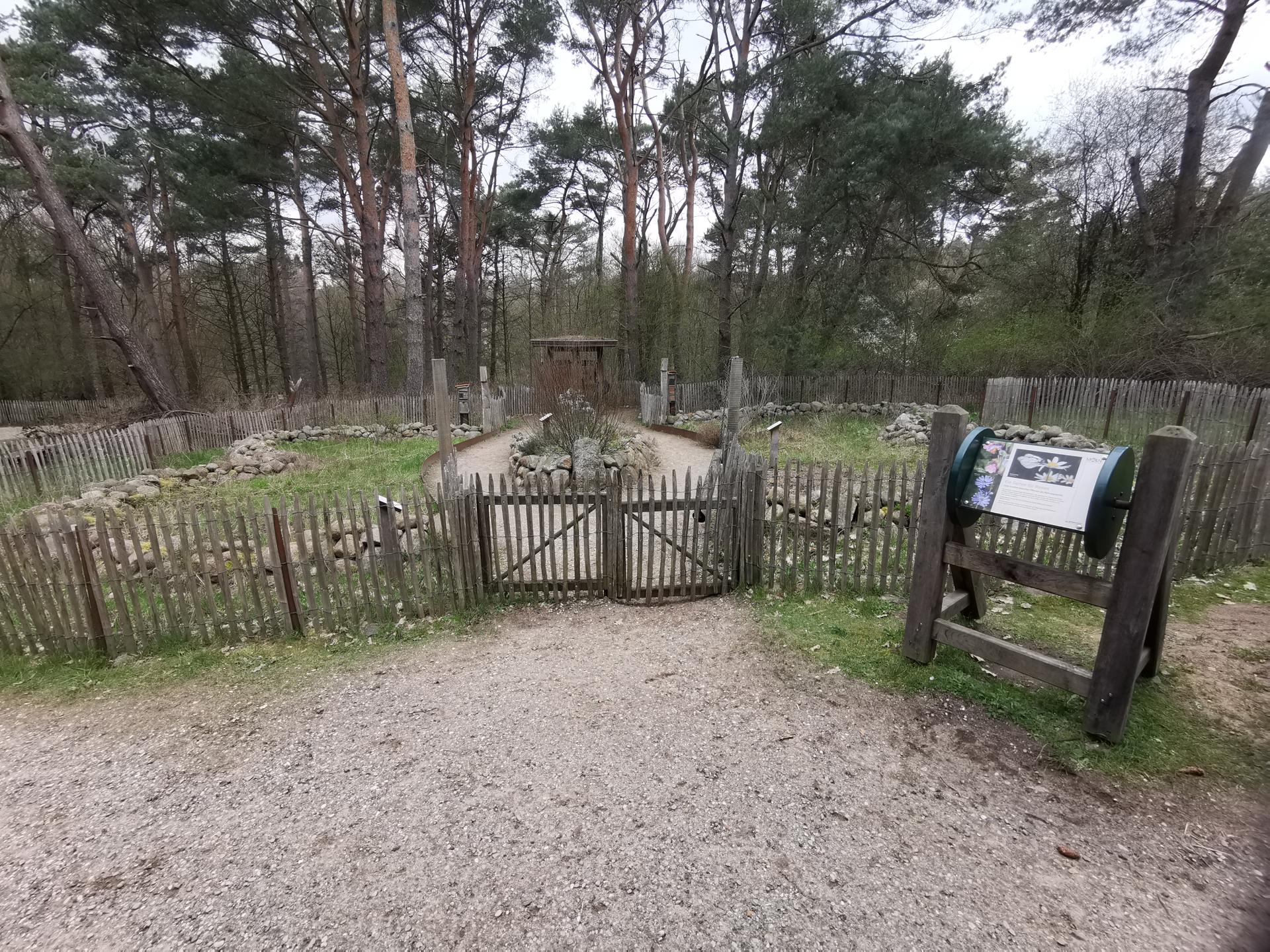 Bild von Wildpark Mölln