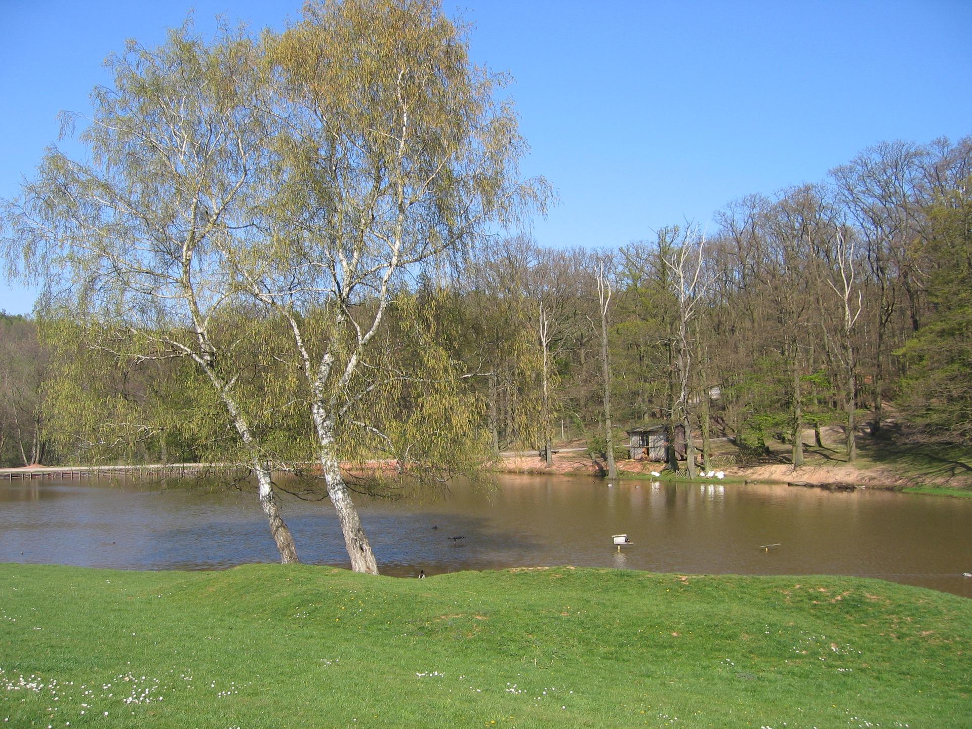 Bild von Hochwildpark Rheinland