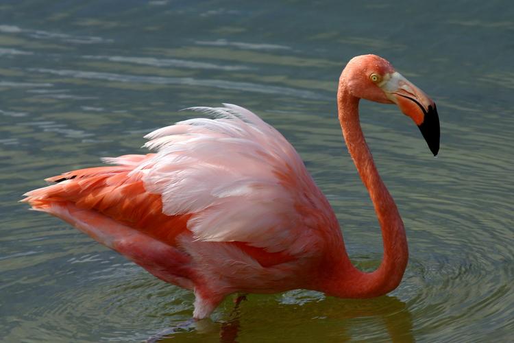 Bild von Vogelpark Leopoldshafen