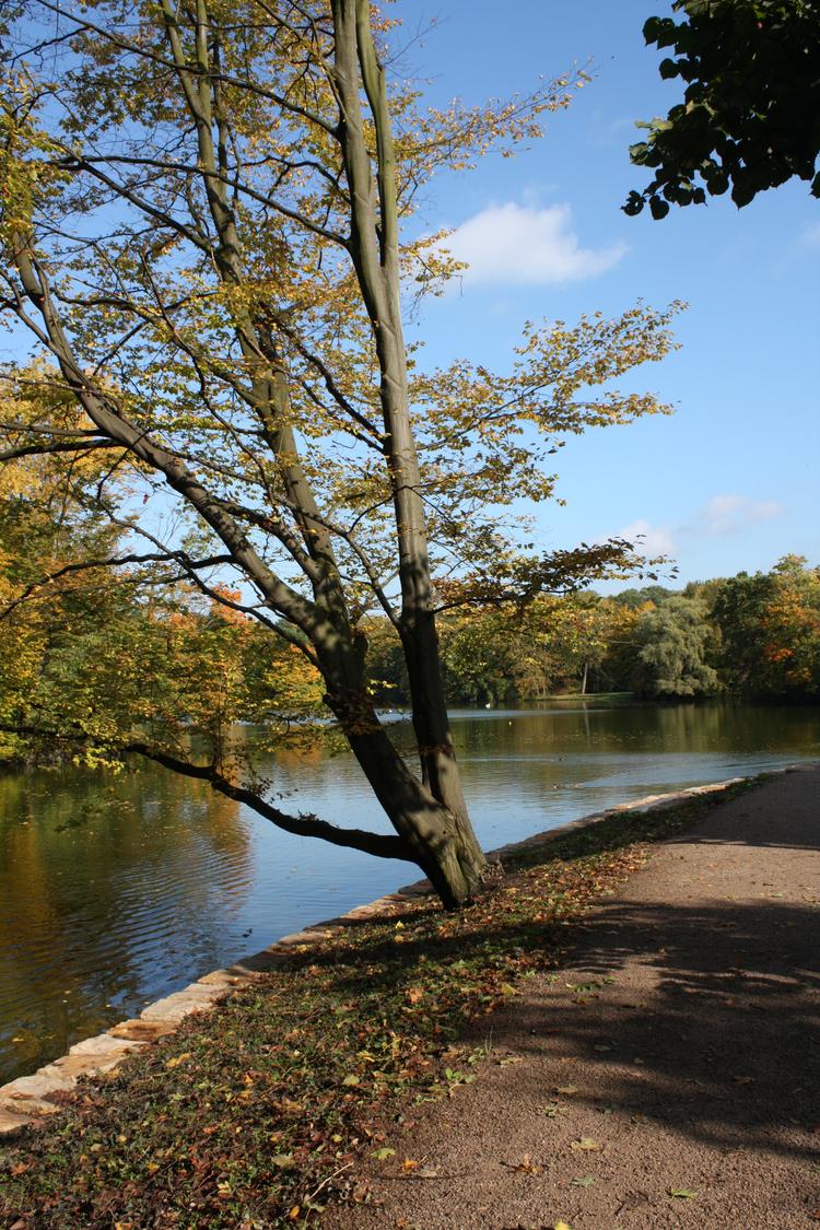 Bild von Lindenthaler Tierpark