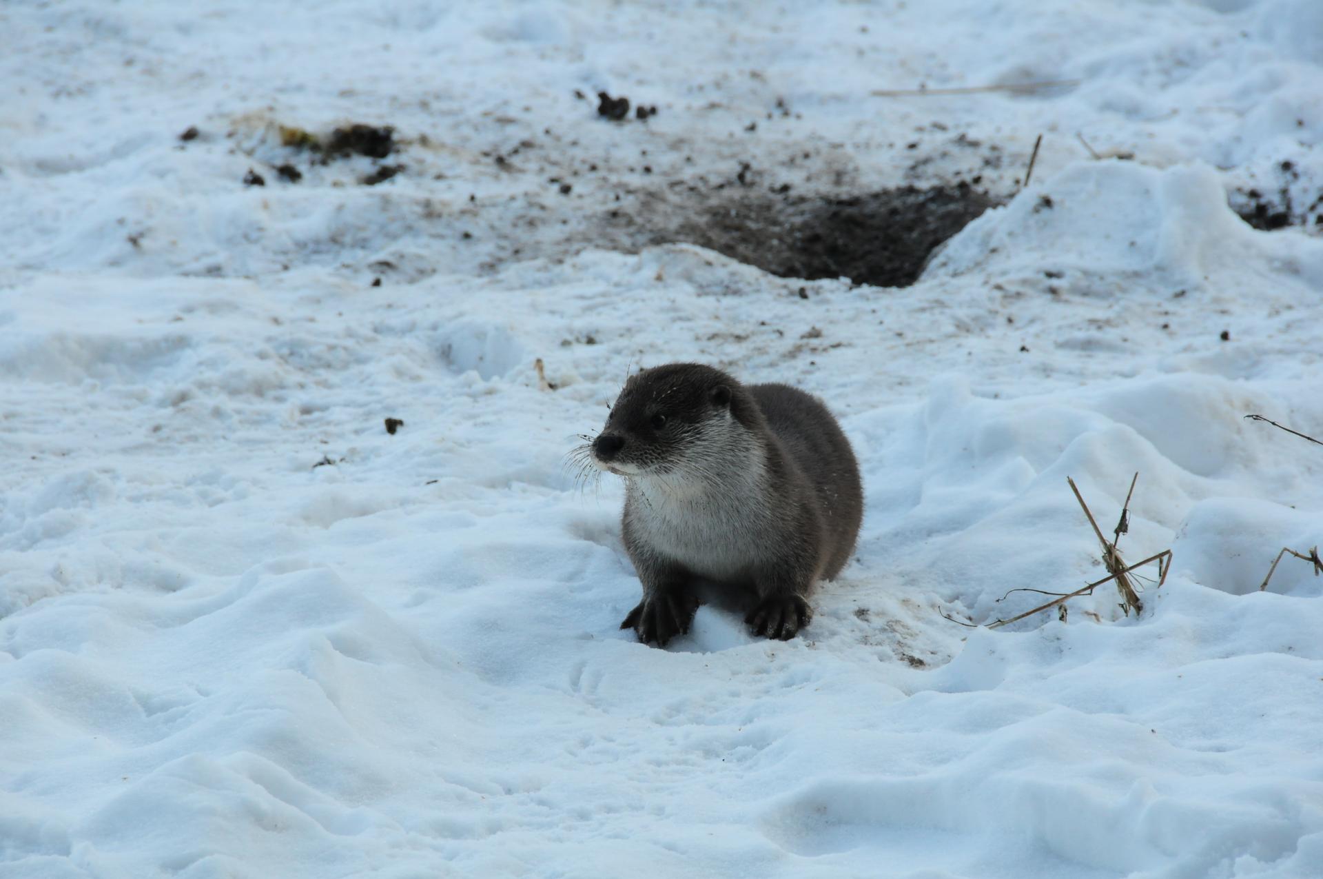 Bild von Wildpark Schorfheide