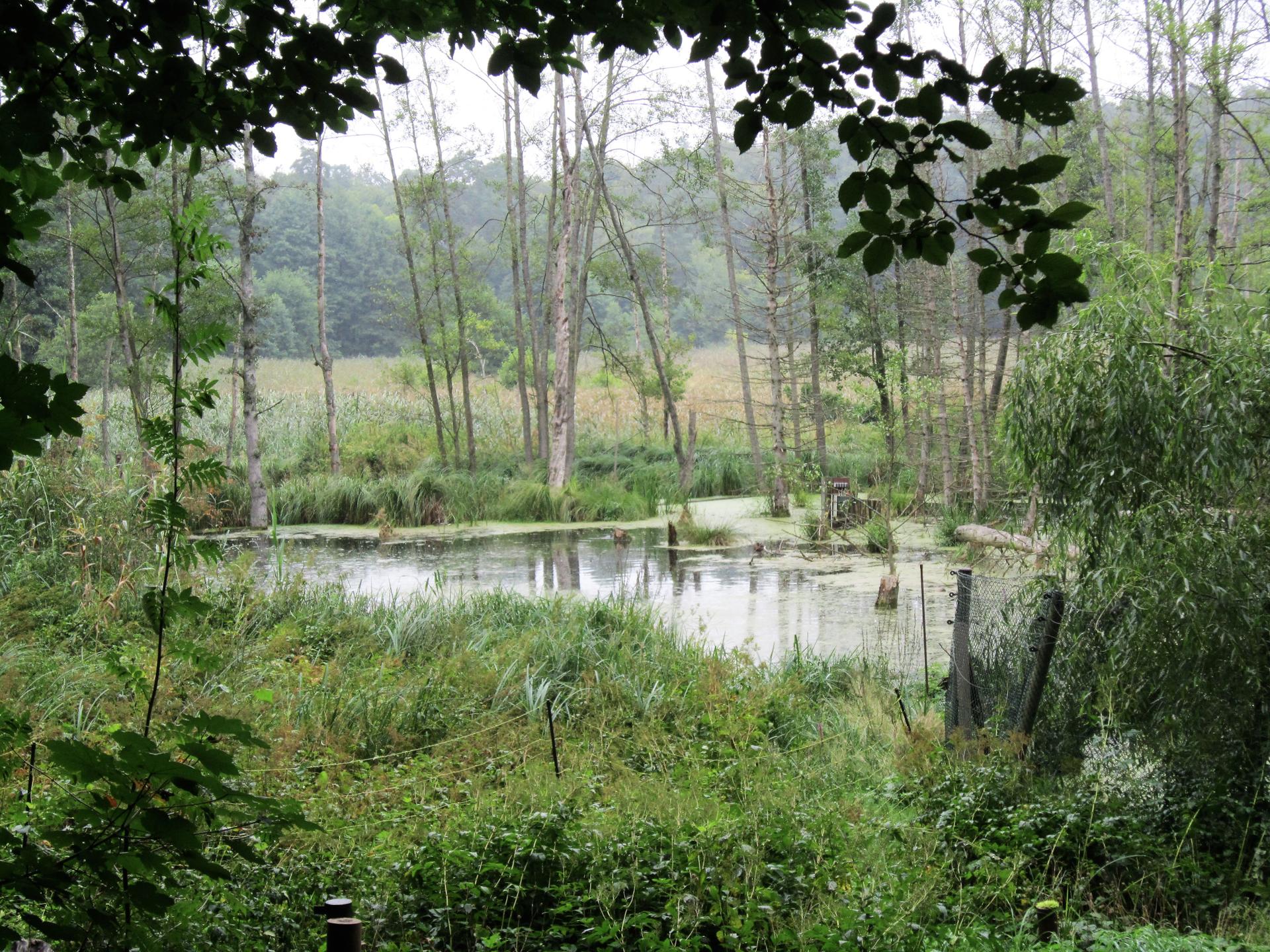 Bild von Tierpark Kunsterspring